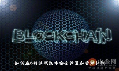 如何在B特派钱包中安全设置和管理私钥