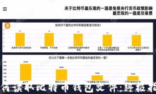 
如何读取比特币钱包文件：终极指南