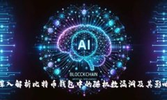 深入解析比特币钱包中的
