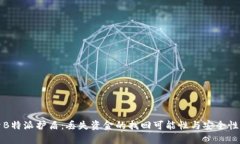 探索B特派护盾：丢失资金