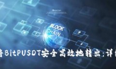 如何将BitPUSDT安全高效地转出：详细指南