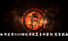 如何使用BitP助记词恢复多