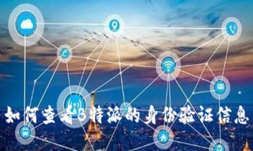 如何查看B特派的身份验证信息
